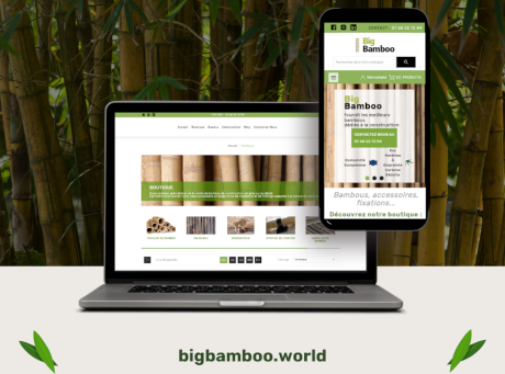 Big Bamboo